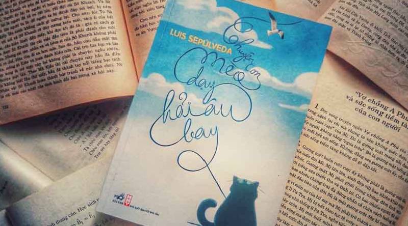 Review sách chữa lành - Chuyện con mèo dạy hải âu bay